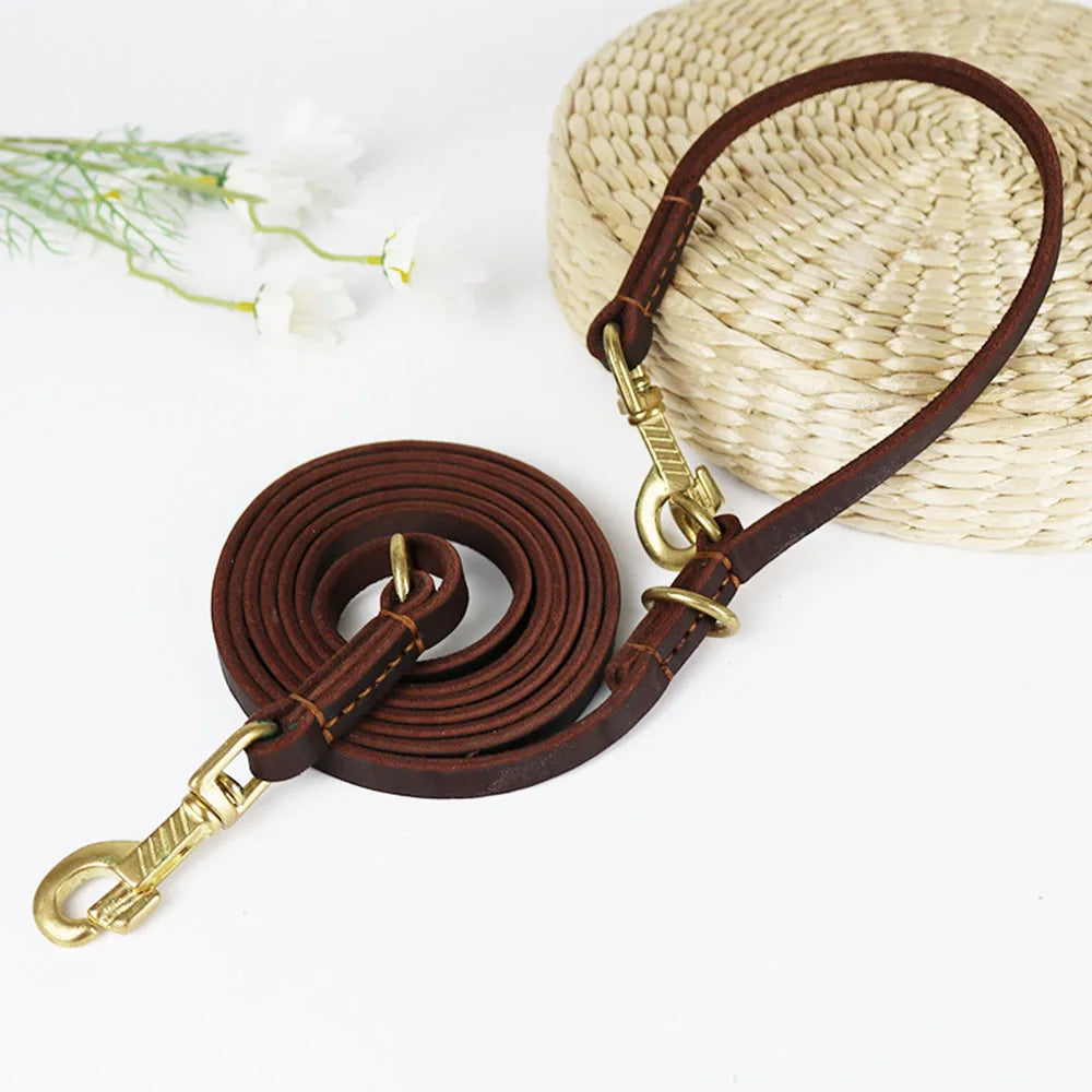 laisse en cuir multiposition chien