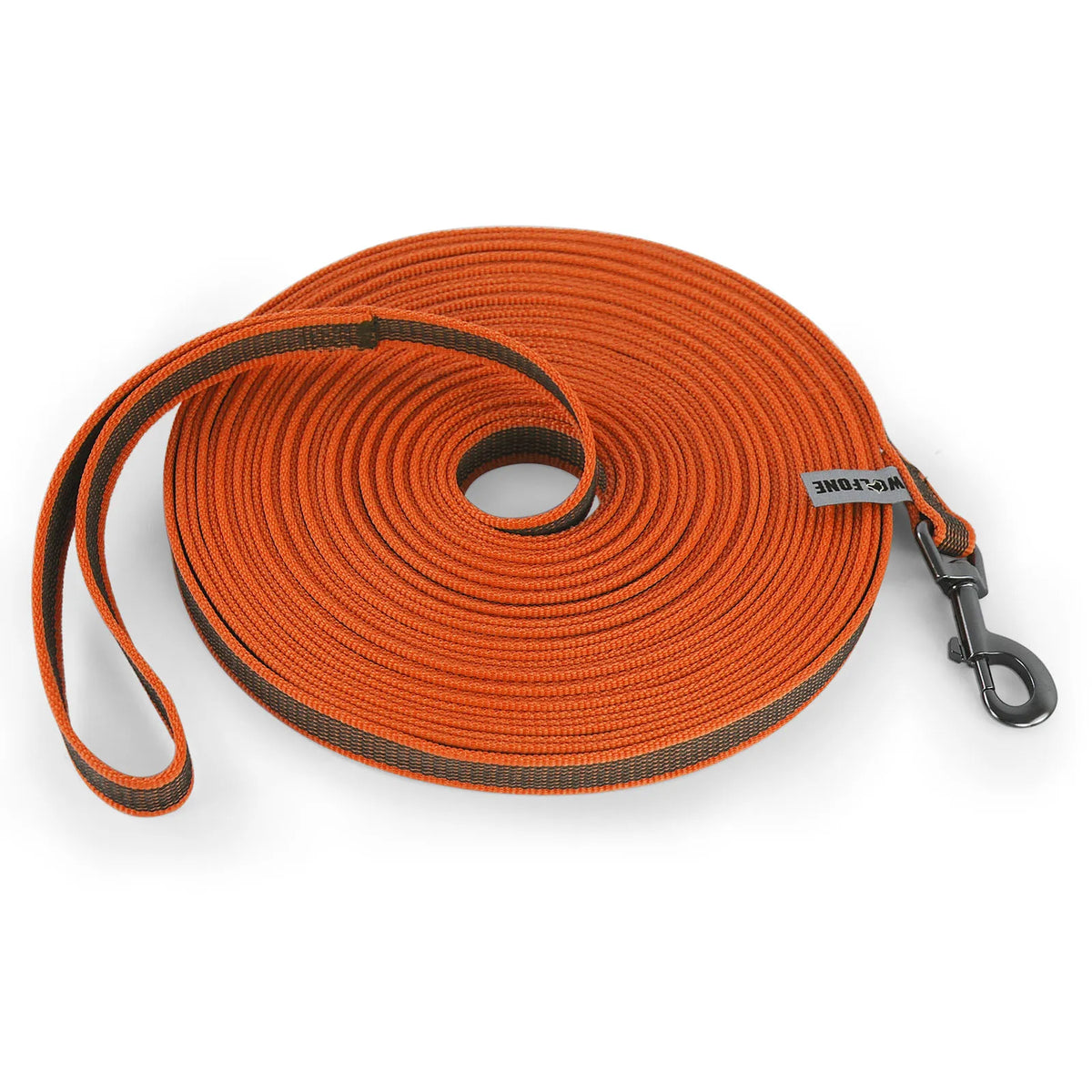 laisse 2 metre pour chien