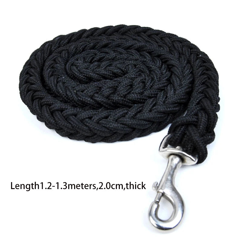 corde pour laisse chien
