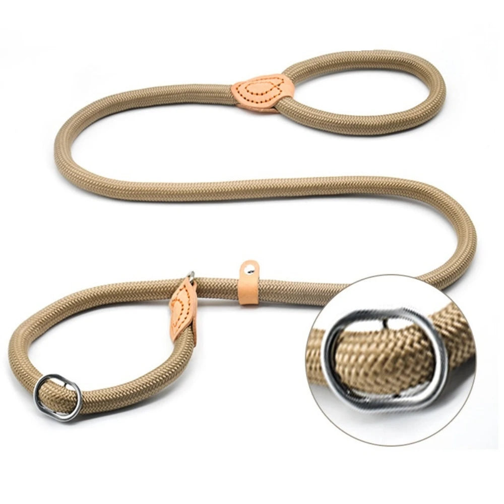 laisse lasso gros chien