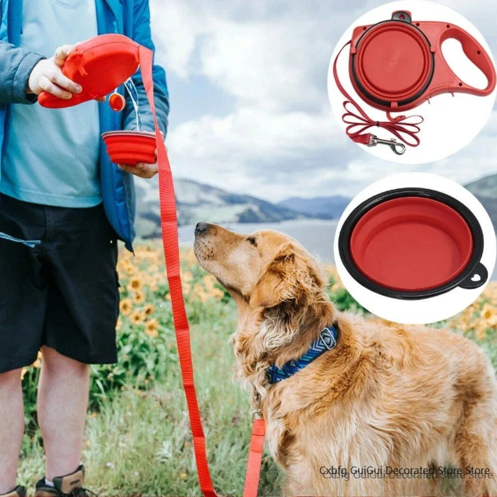 gourde laisse pour chien