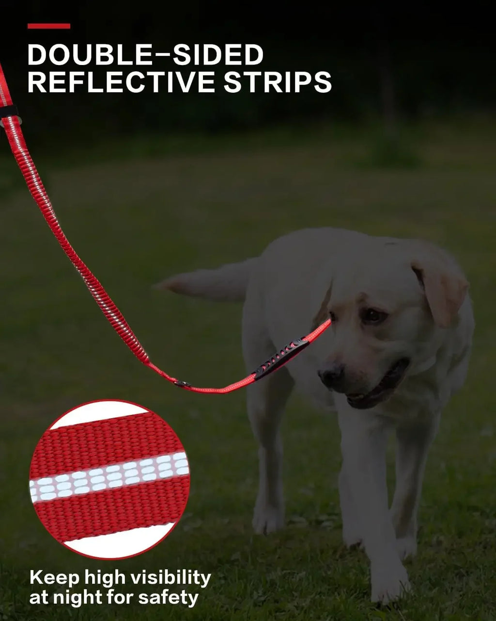 laisse pour chien qui tire fort