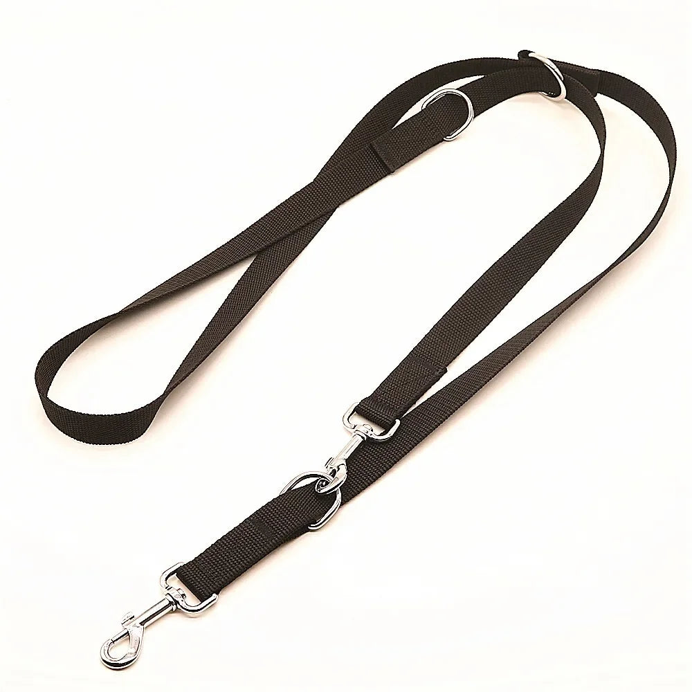 laisse 3 position pour chien