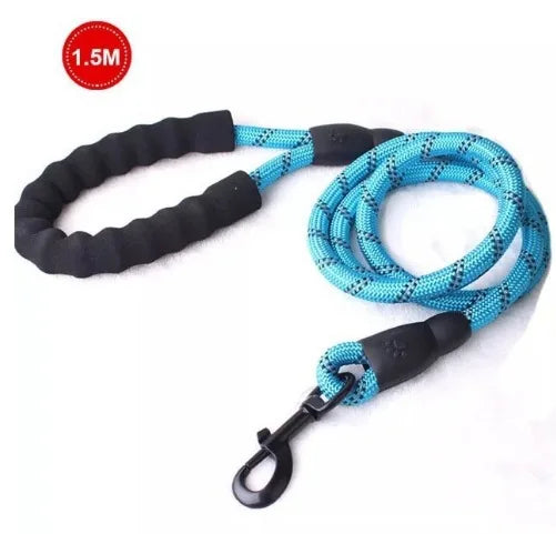 laisse harnais pour chien