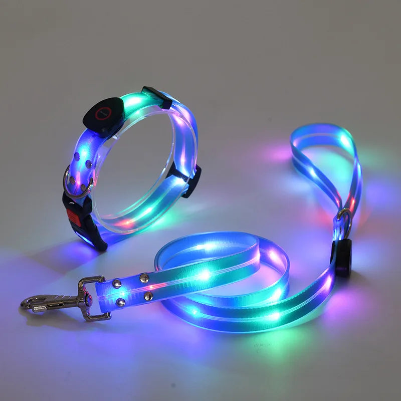 collier et laisse lumineuse pour chien