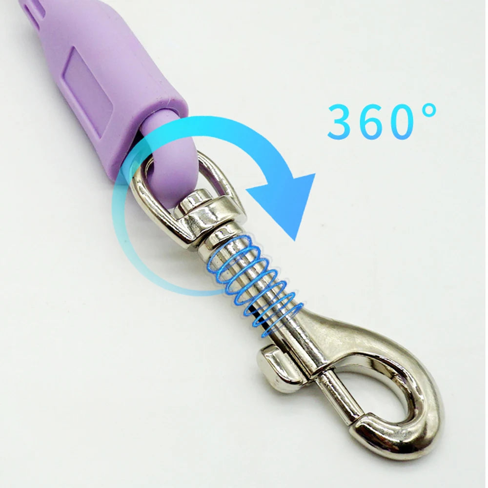 laisse pour chien spitz nain