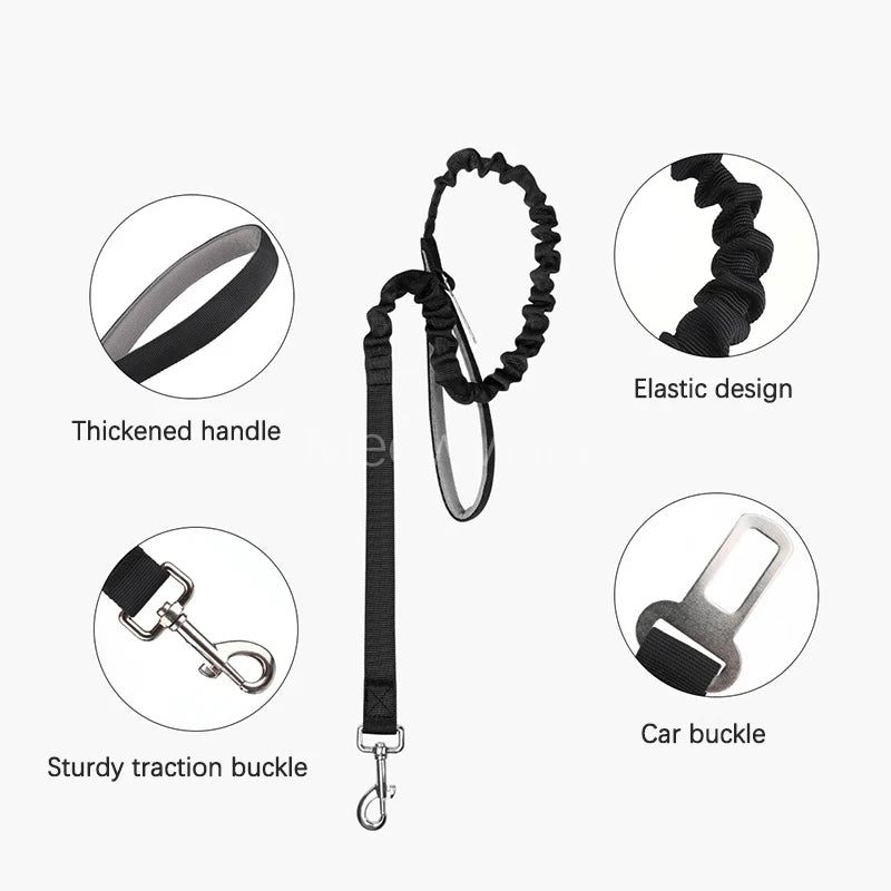 collier et laisse d'intervention pour chien berger allemand