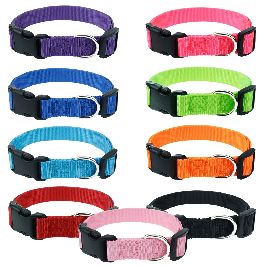 collier pour chien laisser moi tranquille