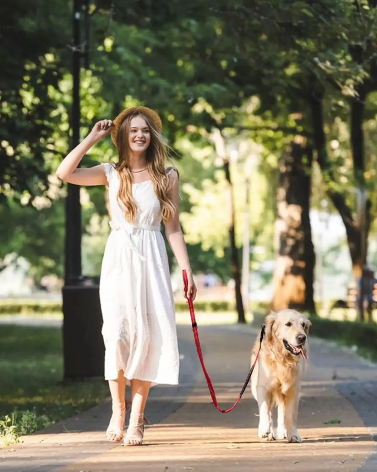laisse pour chien qui tire fort