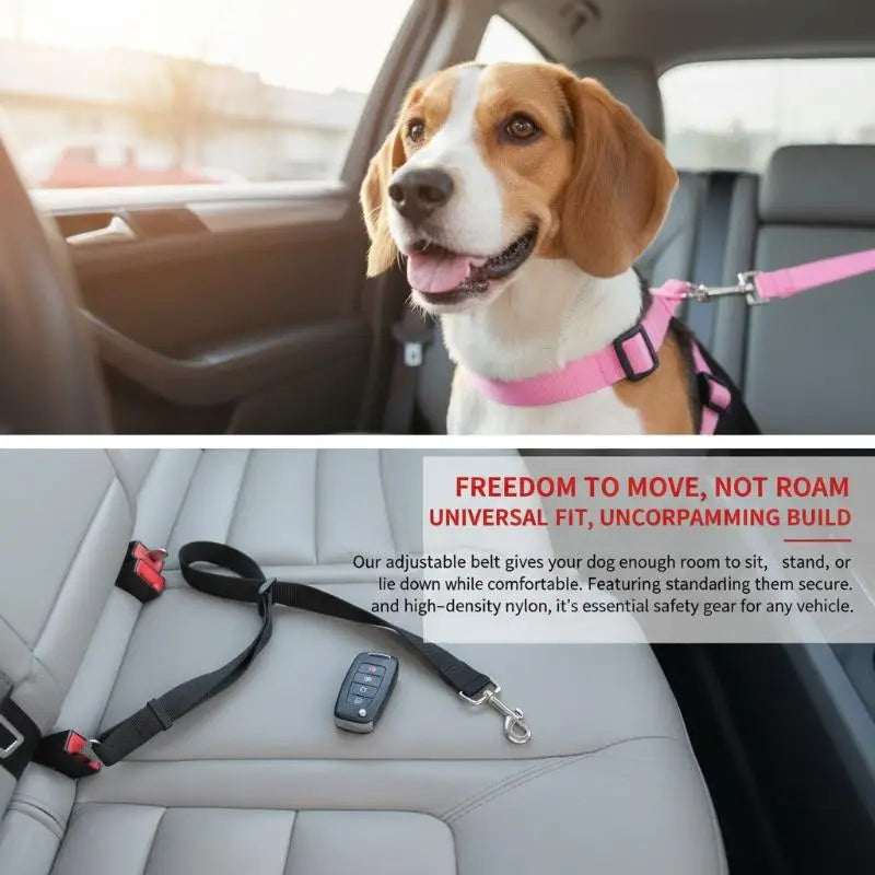 laisse pour voiture pour chien