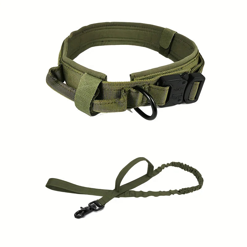 collier et laisse pour chien camouflage