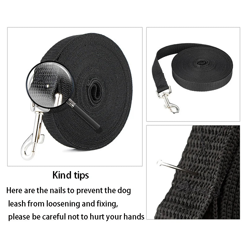 laisse pour petit chien