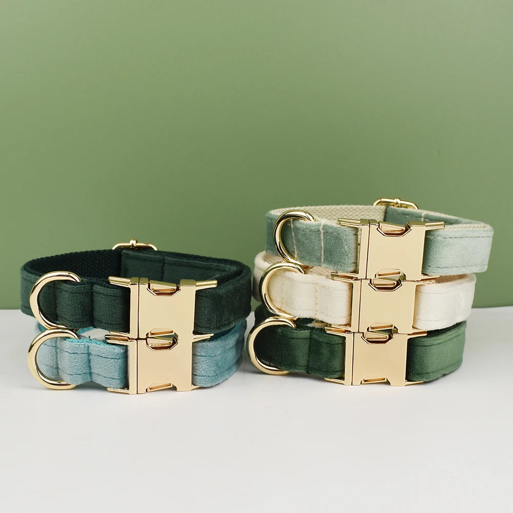 collier et laisse pour chihuahua