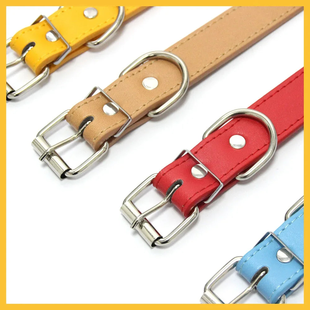 colier pour chien cuir et strace blanc