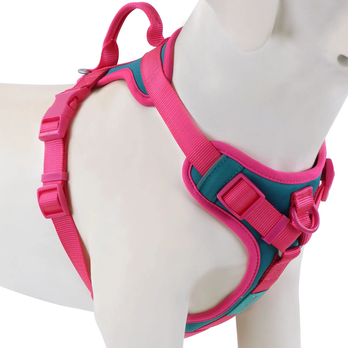 harnais pour chien qui tire en laisse