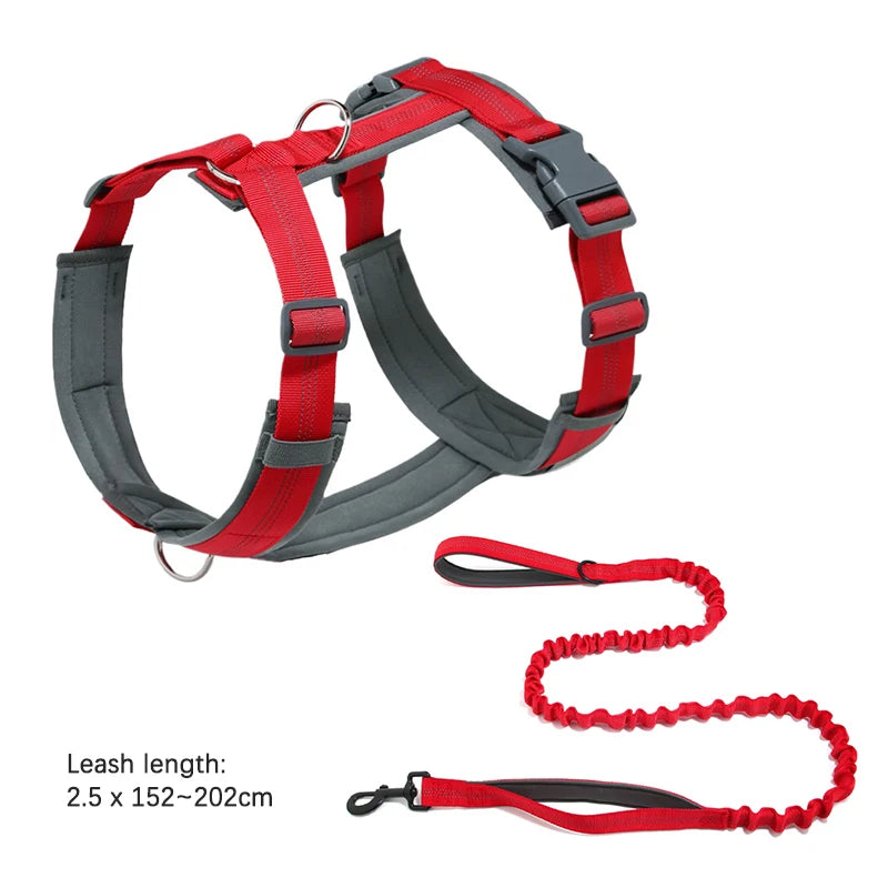 laisse anti fugue pour chien