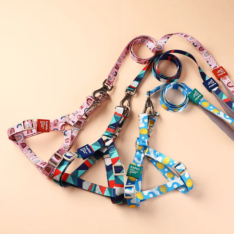 collier et laisse pour chien carricature