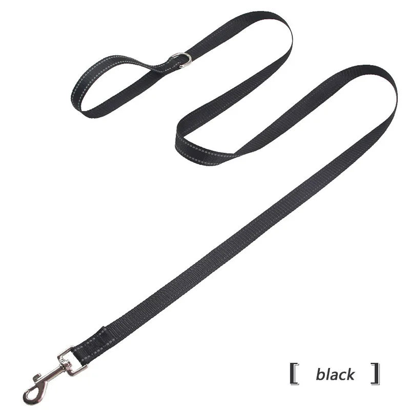 collier et laisse assorti pour chien