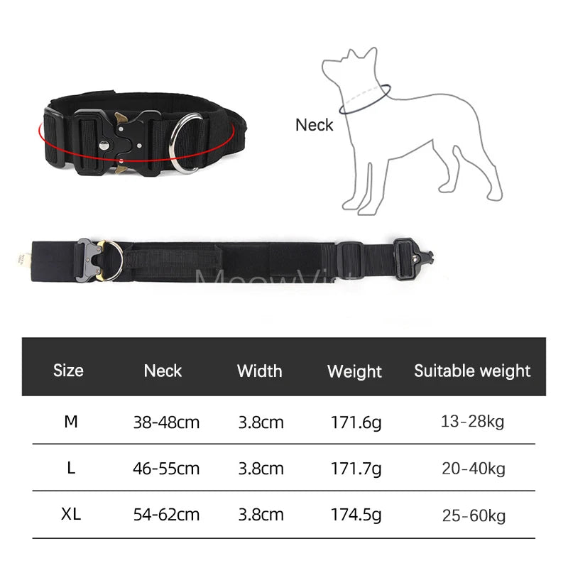 collier et laisse d'intervention pour chien berger allemand