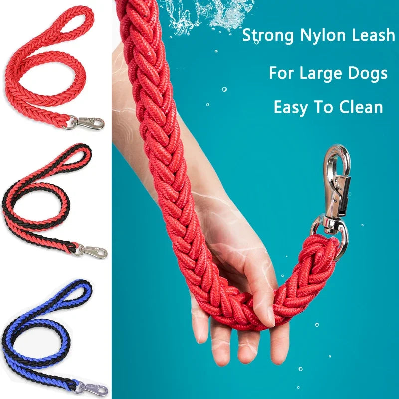 laisse pour grand chien