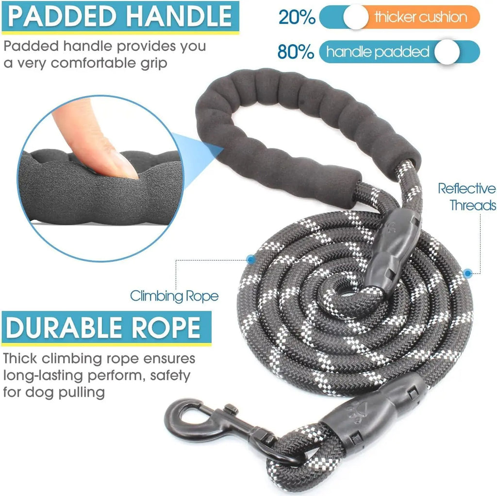 laisse pour 3 chien