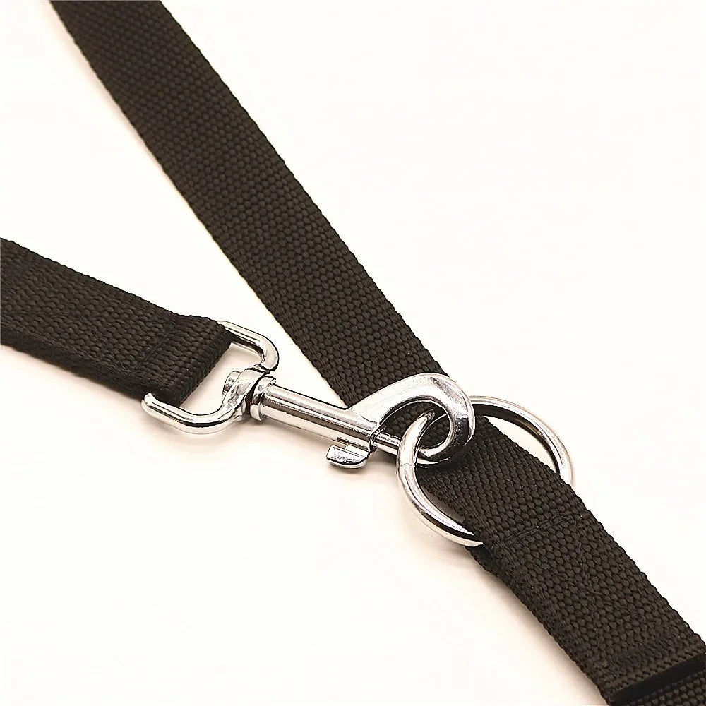 laisse 3 position pour chien
