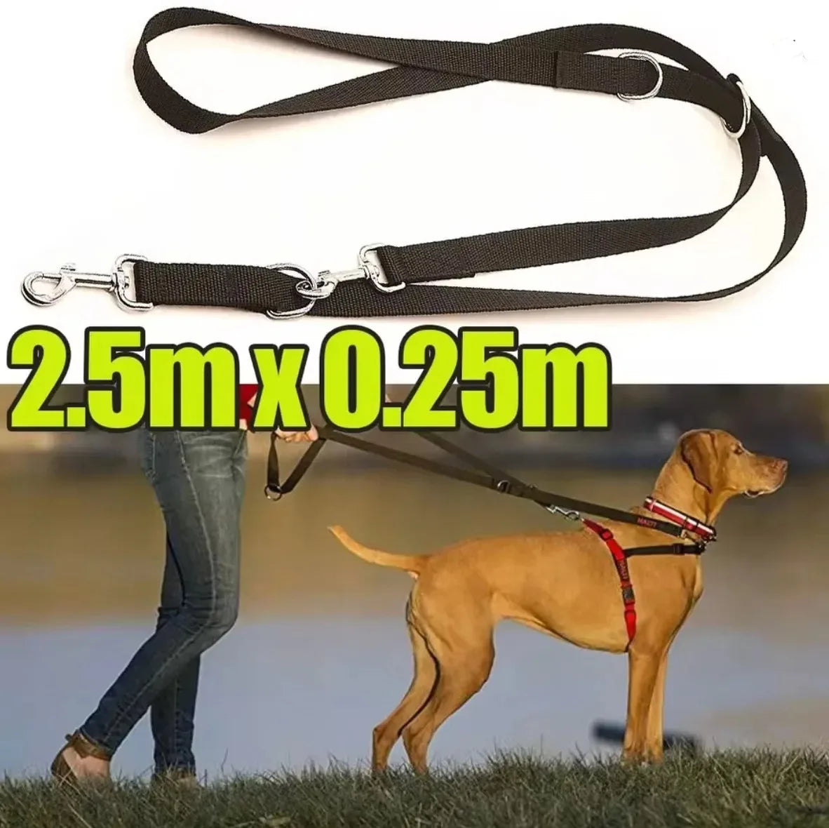 laisse 3 point nylon pour chien