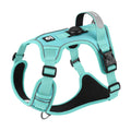 ensemble harnais laisse pour chien