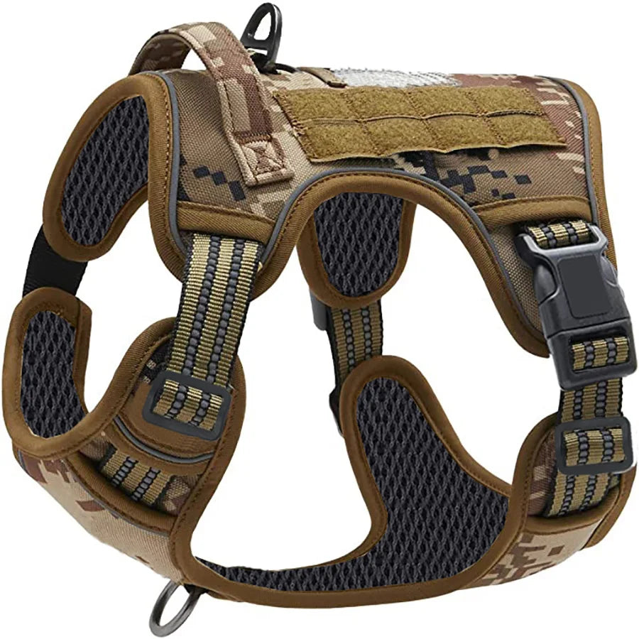 laisse militaire pour chien