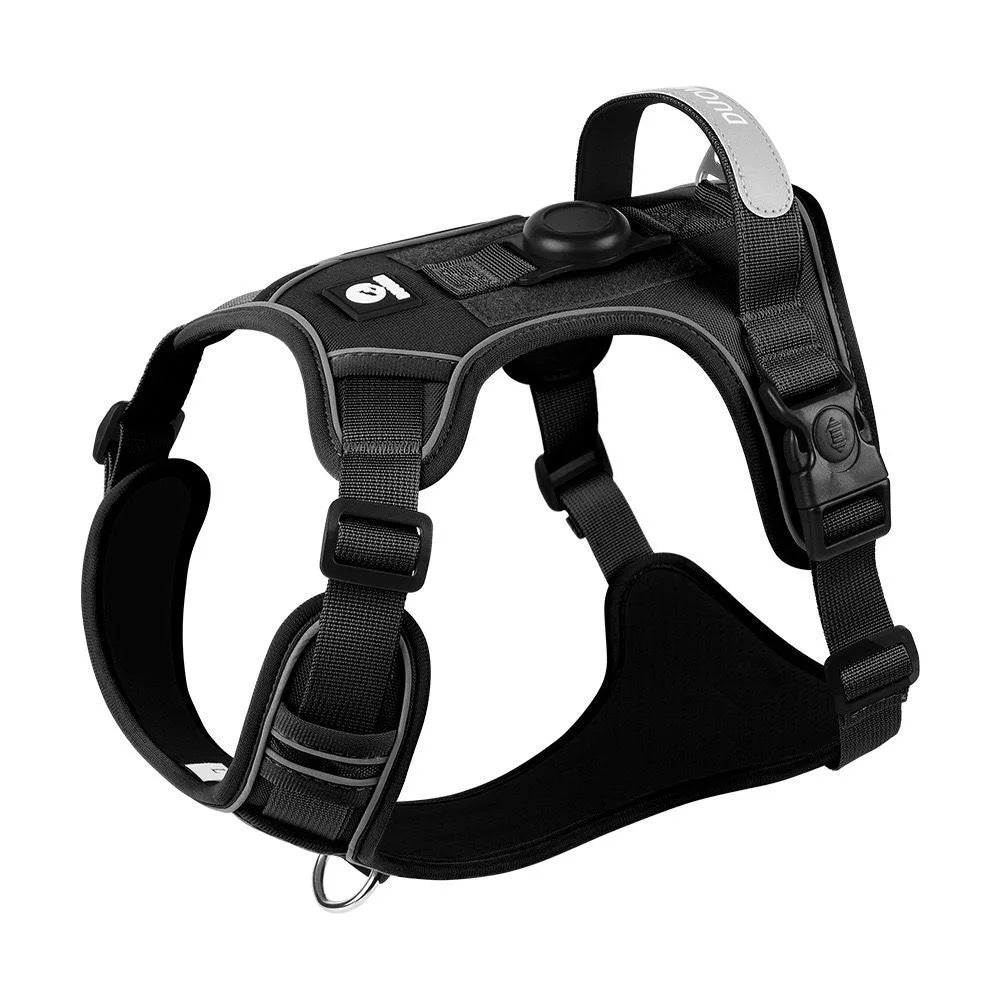ensemble harnais laisse pour chien