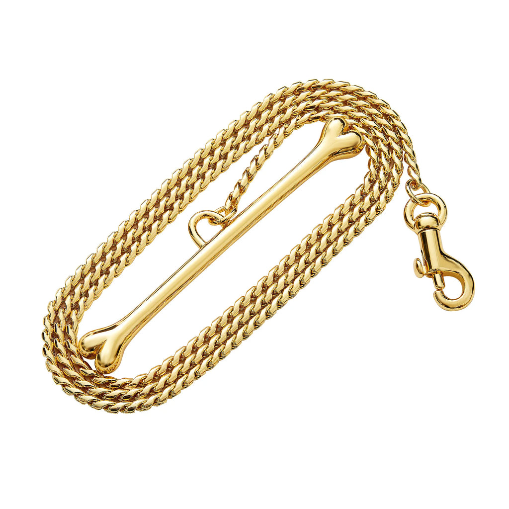 laisse pour chien chaine