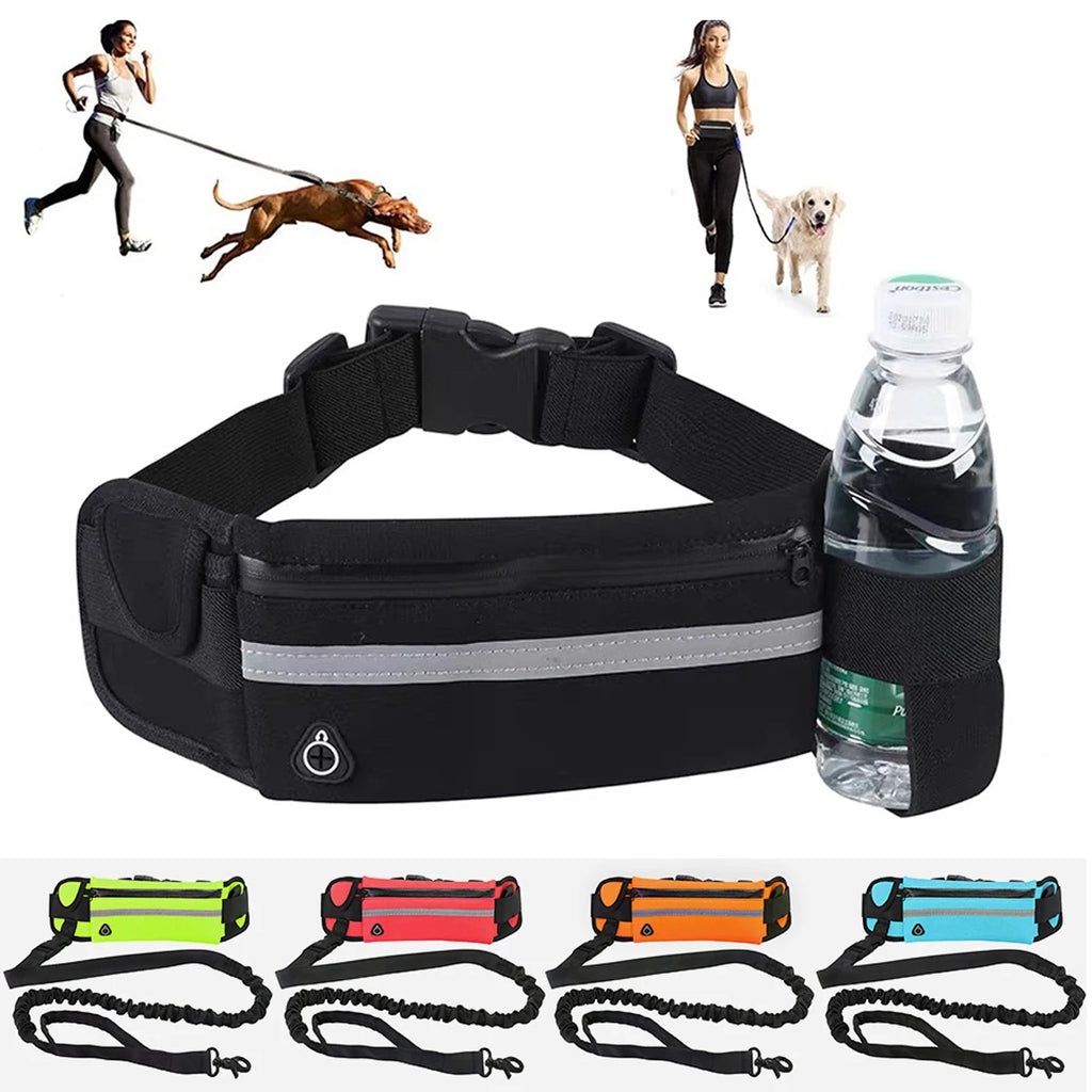 laisse pour courir pour chien