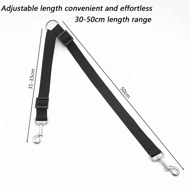 laisse 2 accroche pour chien