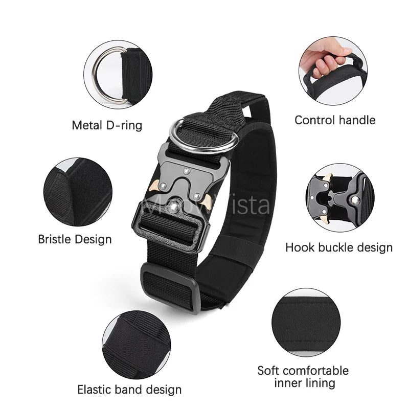 collier et laisse d'intervention pour chien berger allemand
