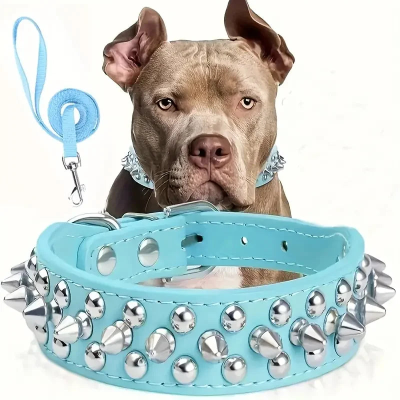 laisse et collier pour gros chien
