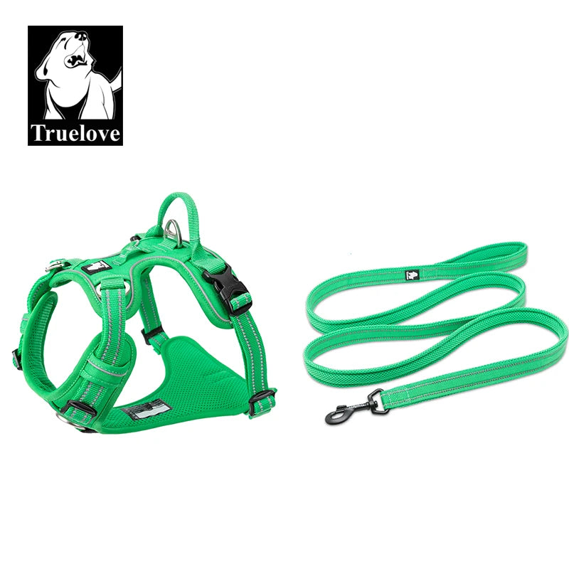 harnais laisse en nylon 2 cm largeur pour chien