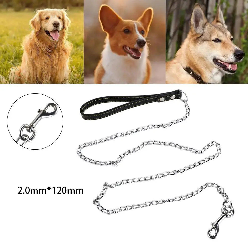 laisse chaine fine pour chien