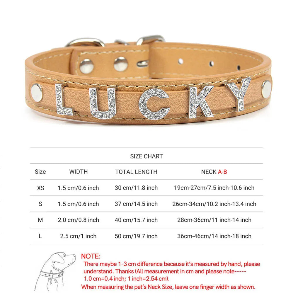 colier pour chien cuir et strace blanc