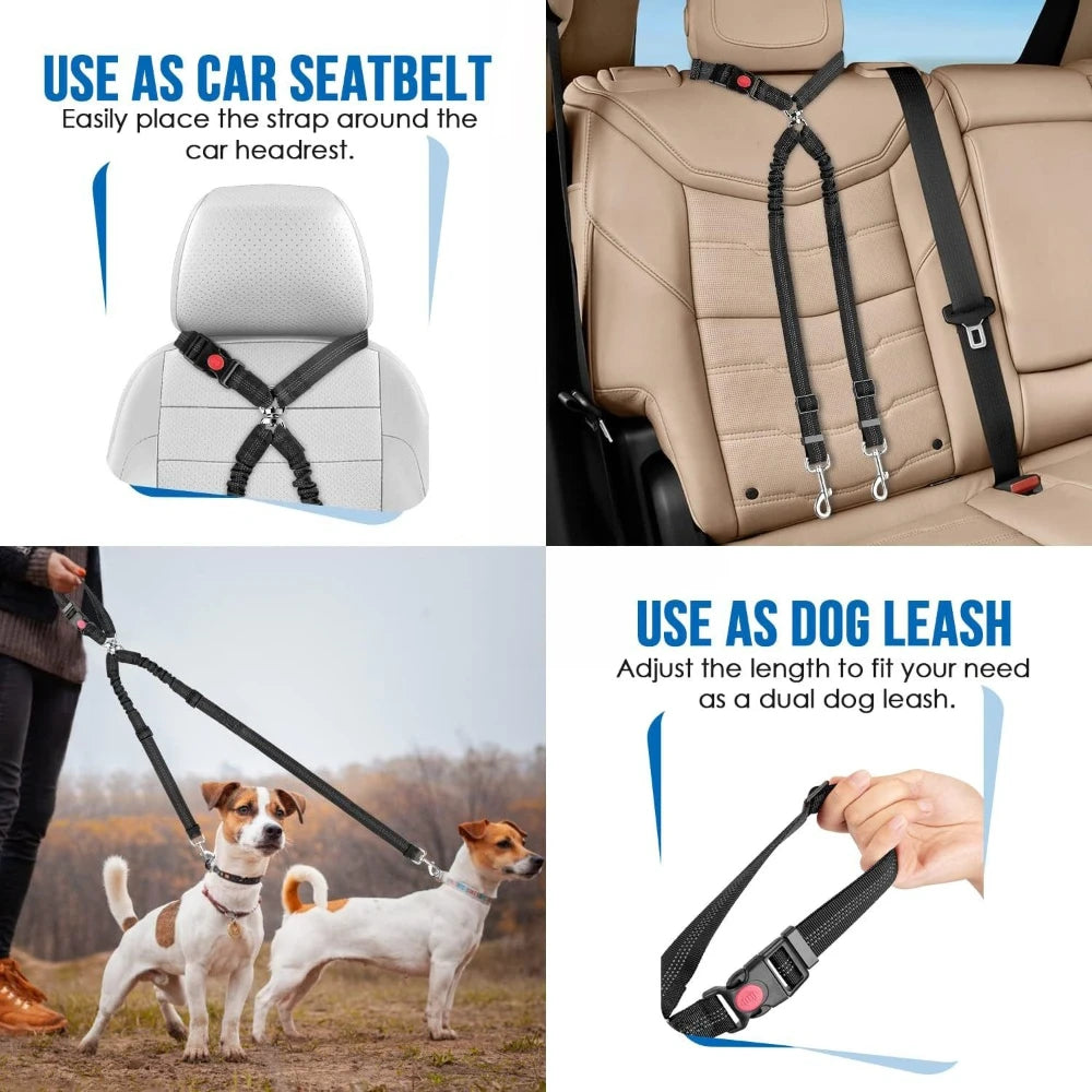 laisse ceinture retractable pour deux petit chien