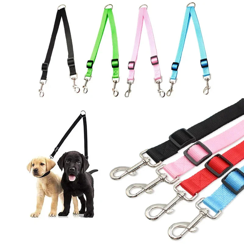 laisse 2 accroche pour chien