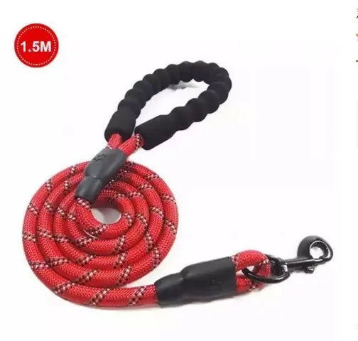 laisse harnais pour chien