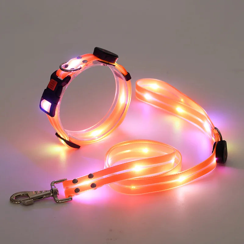 collier et laisse lumineuse pour chien
