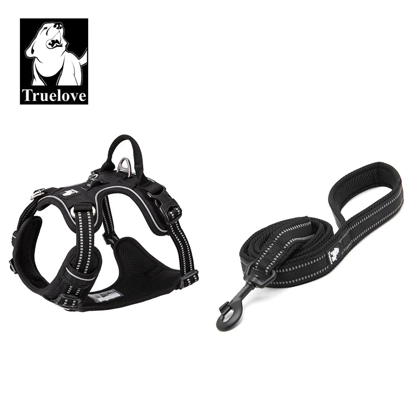 harnais laisse en nylon 2 cm largeur pour chien
