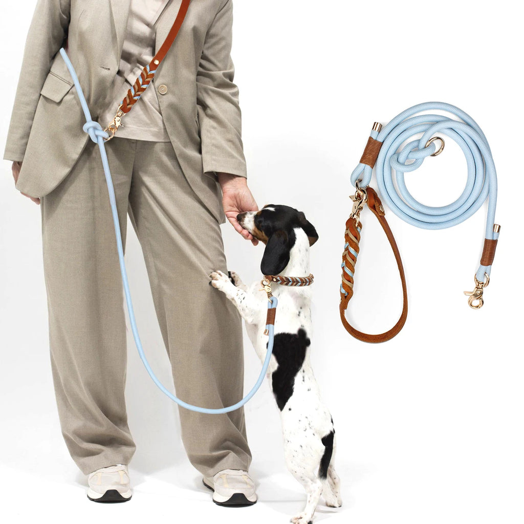 laisse pour chien tresser