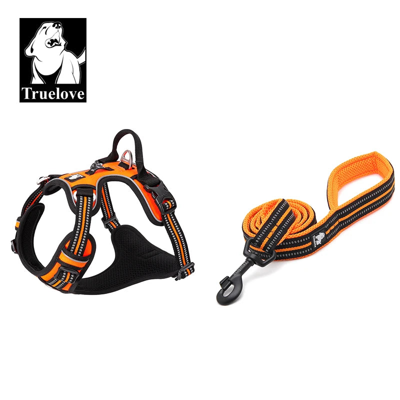 harnais laisse en nylon 2 cm largeur pour chien