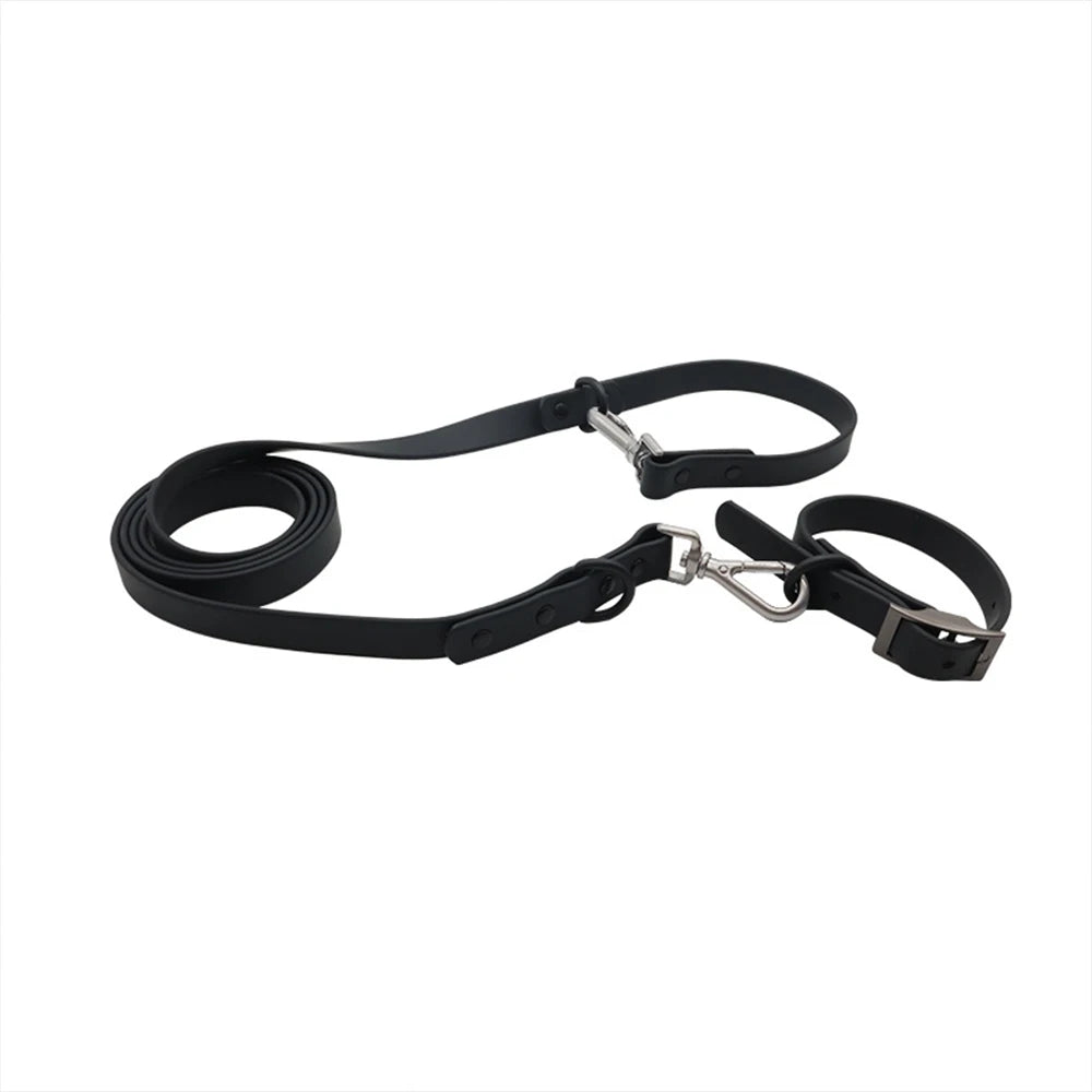 collier et laisse bleu brillante pour chien