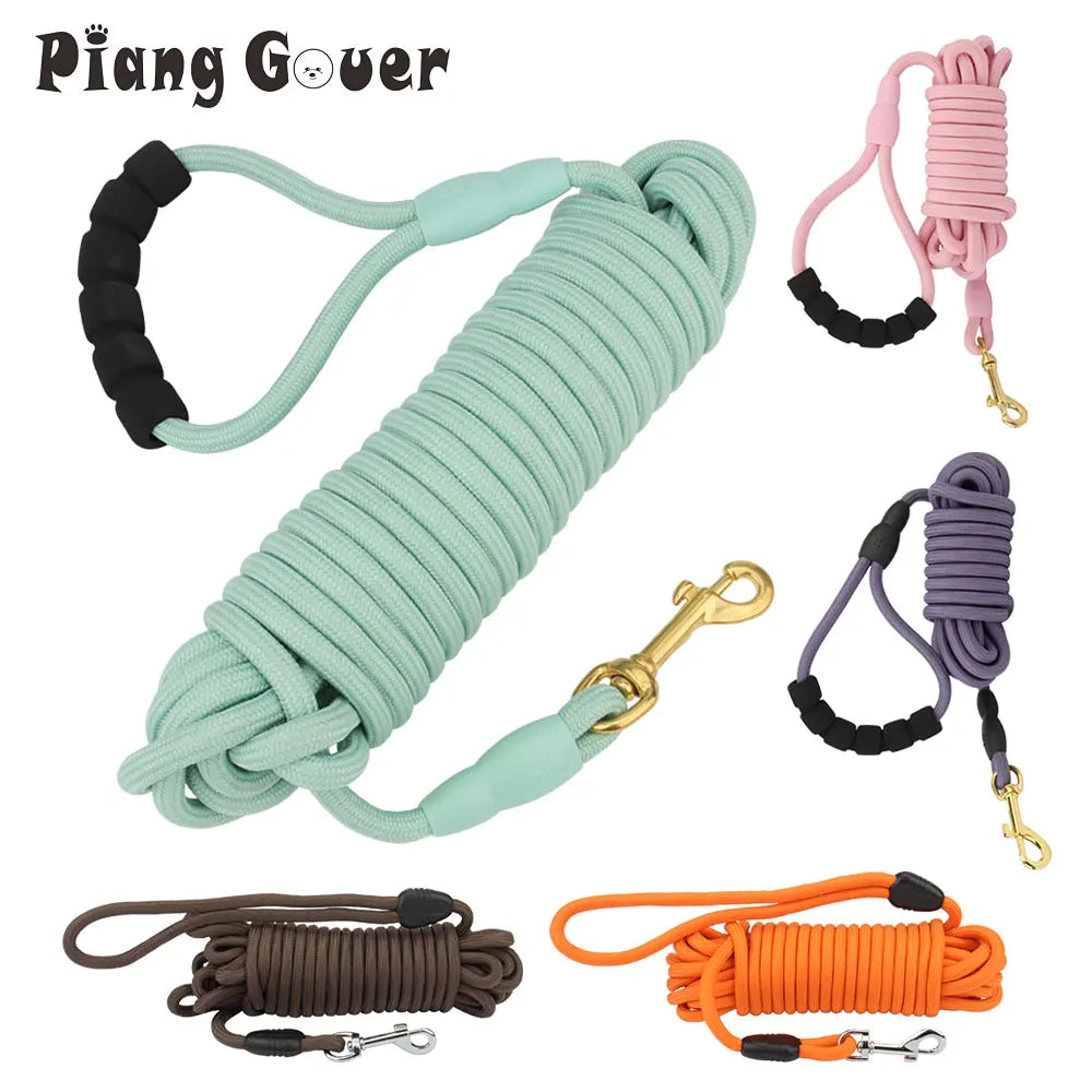 laisse pour chien 10 m