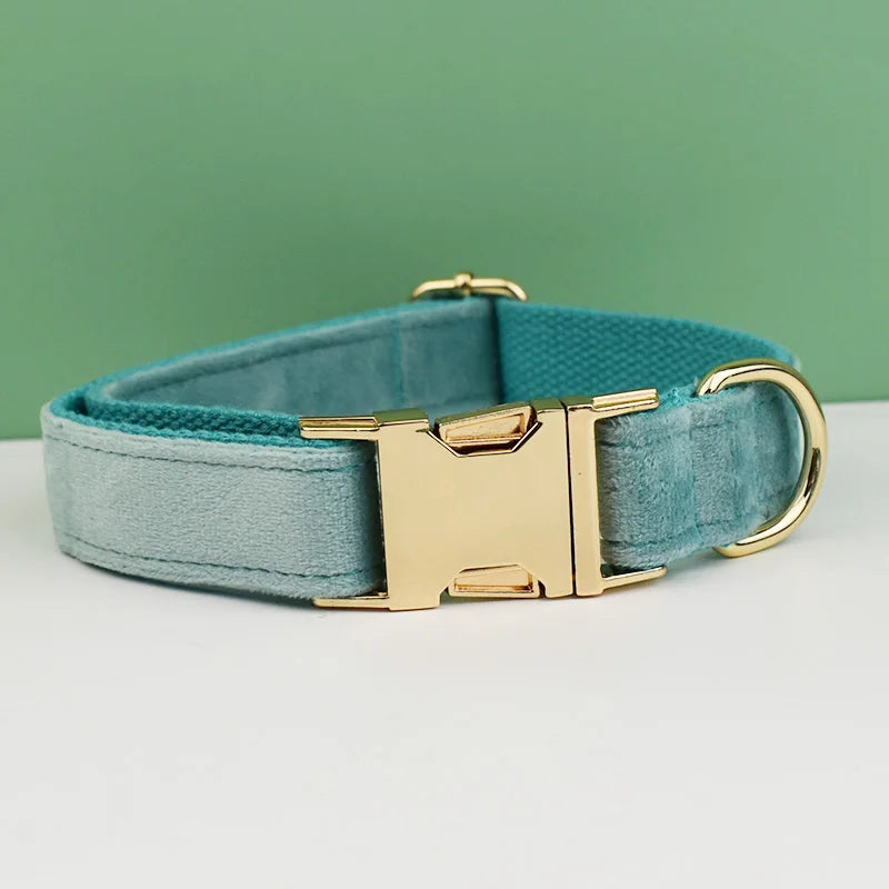 collier et laisse pour chihuahua