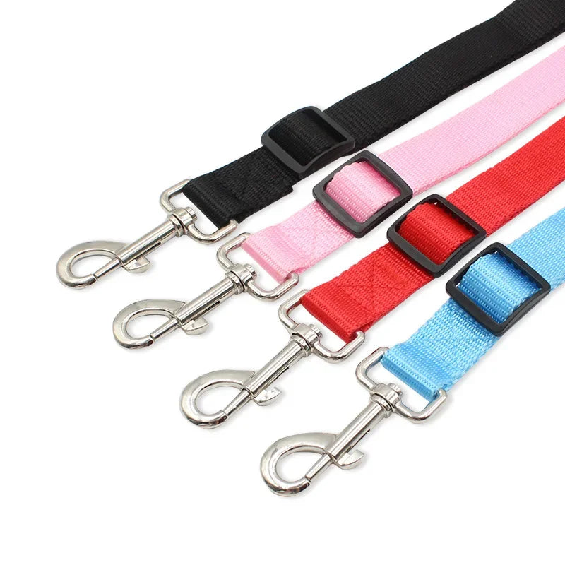 laisse 2 accroche pour chien