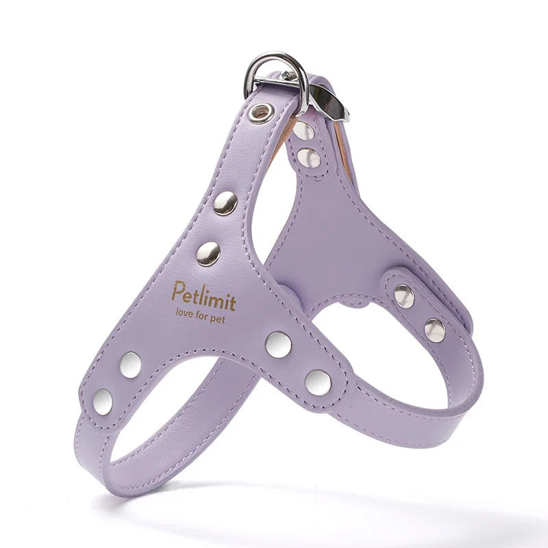 harnais cuir laisse pour petit chien yorkshire